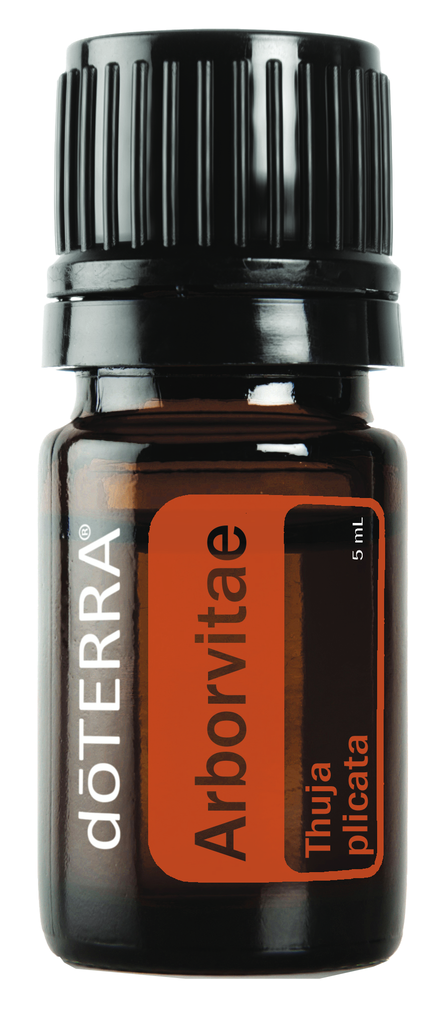 Buy doTERRA Arborvitae Essential Oils from doTERRA-UK